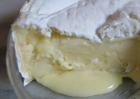 Plagiaire par anticipation